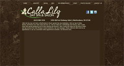 Desktop Screenshot of callalilydayspa.com
